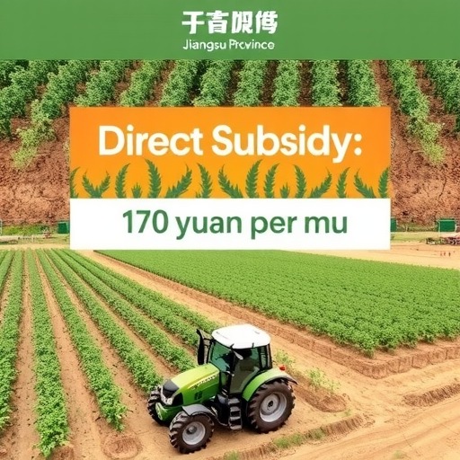 在中央财政每亩补贴150元基础上再补贴170元！江苏省对大豆复合种植主体给予直接补贴(图1)