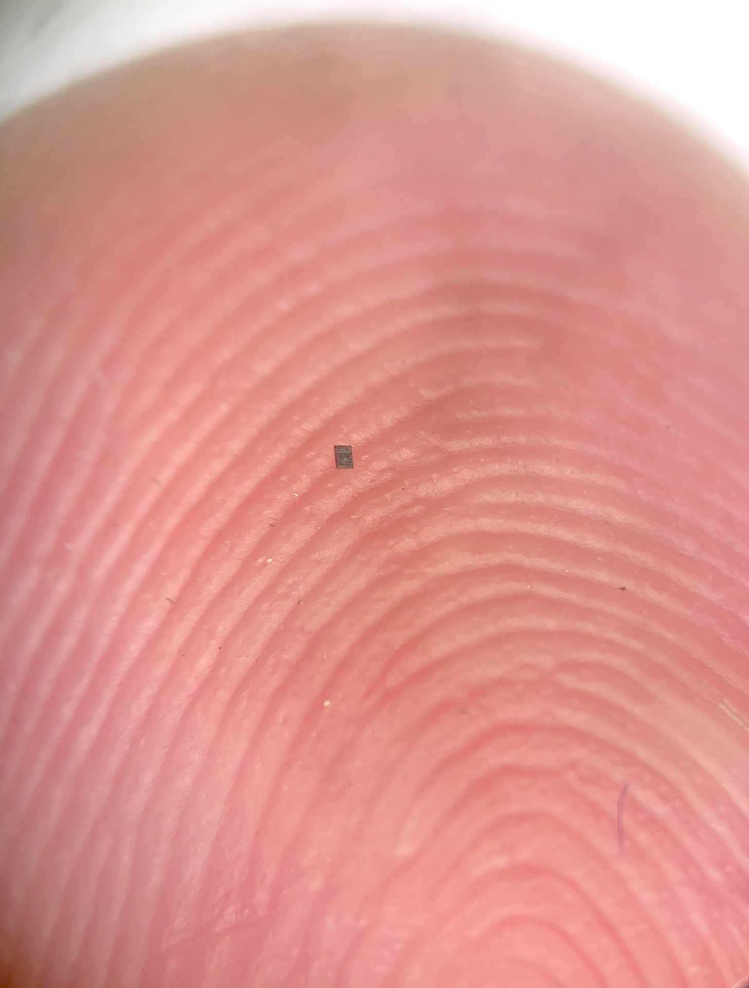 研究人员创造出世界上最小的可编程自主机器人