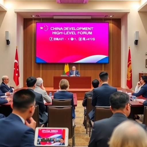 宁高宁出席中国发展高层论坛网络专题研讨会