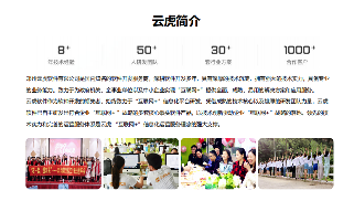 后台管理系统开发 - 云虎软件(图2)