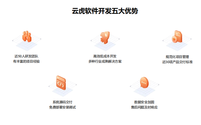 软件开发_管理系统开发_定制开发 - 云虎软件(图3)