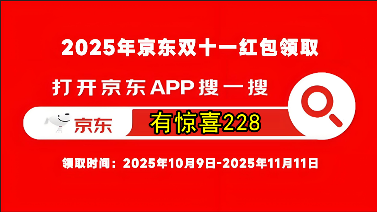 2025京东双11活动开始，京东双十一红包口令【有惊喜228】，京东双十一红包加码大额包(图5)