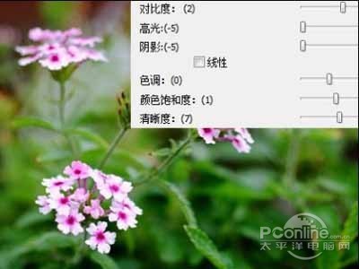 raw是什么意思？raw文件怎么打开(图5)