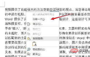 word如何去掉蓝色波浪线(图4)