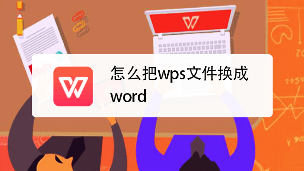 WPS是什么格式？一篇看懂WPS文件格式与兼容性问题 - 壹观办公网