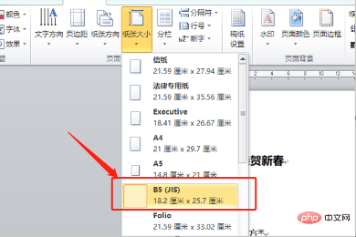word如何设置b5纸张大小(图5)