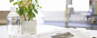 Word的绿色波浪线代表什么(图1)