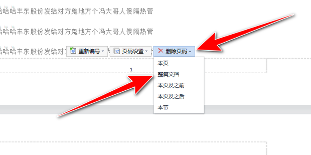 WPS删除页码终极教程：从入门到精通 - 壹观办公网