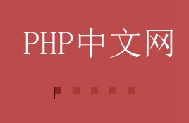 word部分文字竖排(图3)