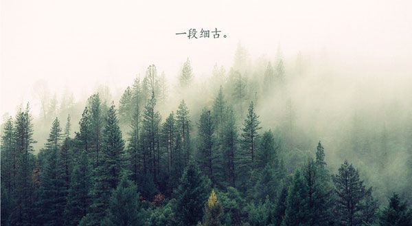 PPT教程|大神呕心之作：PPT图文排版心得(二)(图13)