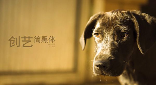 PPT教程|大神呕心之作：PPT图文排版心得(一)(图8)