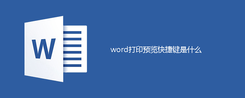word打印预览快捷键是什么(图1)