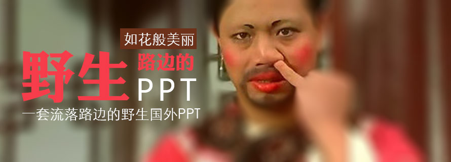 PPT模板|企业&商务：流落路边的国外野生PPT(图1)