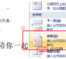 word怎么分节(图5)