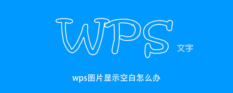 wps图片显示空白怎么办(图1)