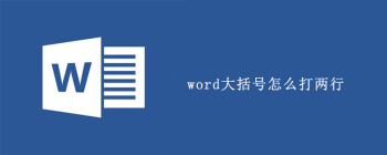 word大括号怎么打两行 - 壹观办公网