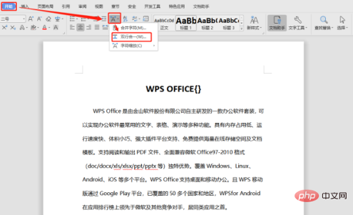 word大括号怎么打两行(图3)