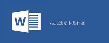 word选项卡是什么 - 壹观办公网