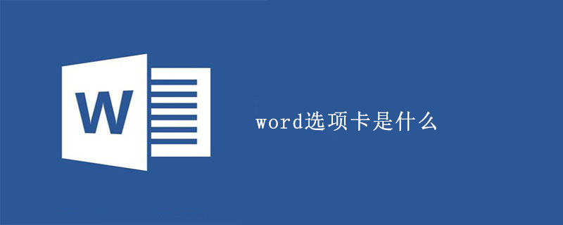 word选项卡是什么(图1)