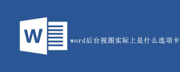 word后台视图实际上是什么选项卡 - 壹观办公网