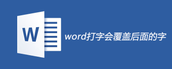 word打字会覆盖后面的字怎么办 - 壹观办公网