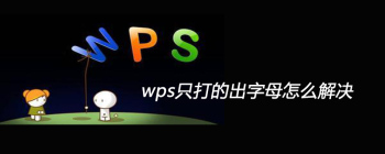 wps只打的出字母怎么解决 - 壹观办公网