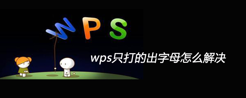 wps只打的出字母怎么解决(图1)