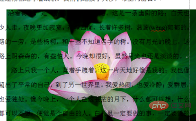word中图片衬于文字下方无法显示(图5)