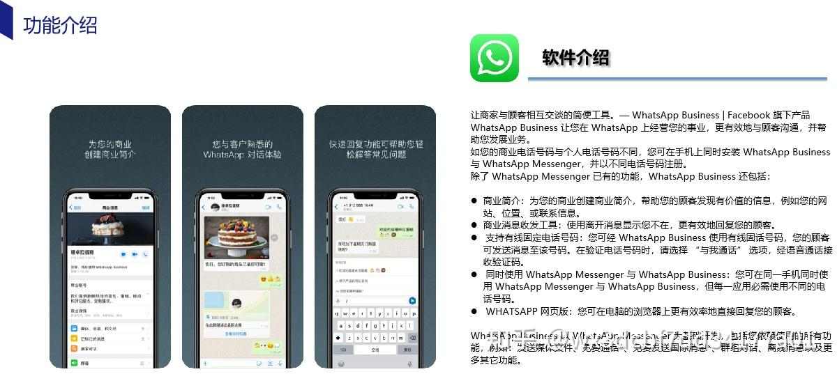 WPS群发终极指南：2025年Mac用户必看的WhatsApp营销策略与技巧 - 壹观办公网