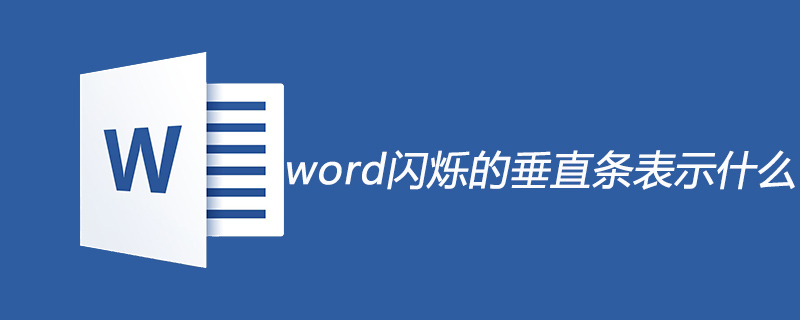 word闪烁的垂直条表示什么(图1)