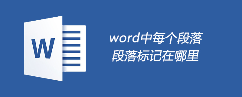 word中每个段落的段落标记在哪里(图1)