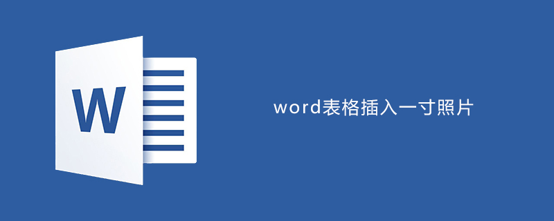 word表格中插入一寸照片(图1)