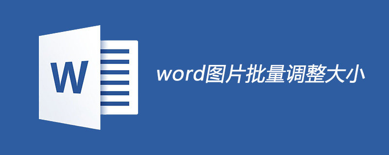word图片怎么批量调整大小(图1)