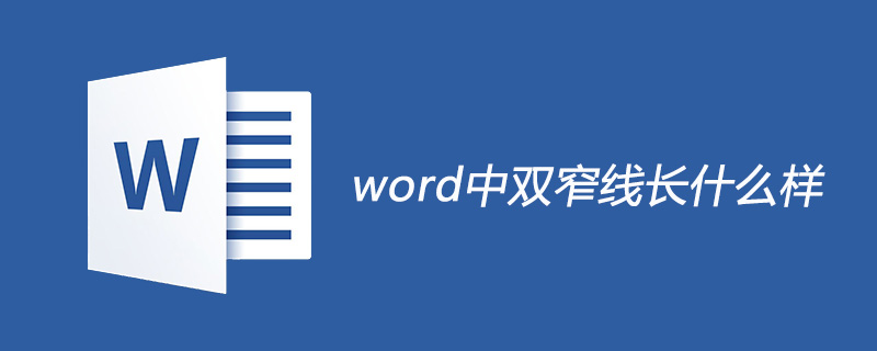 word中双窄线长什么样(图1)