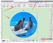 电脑怎样把图片剪成圆的(图5)