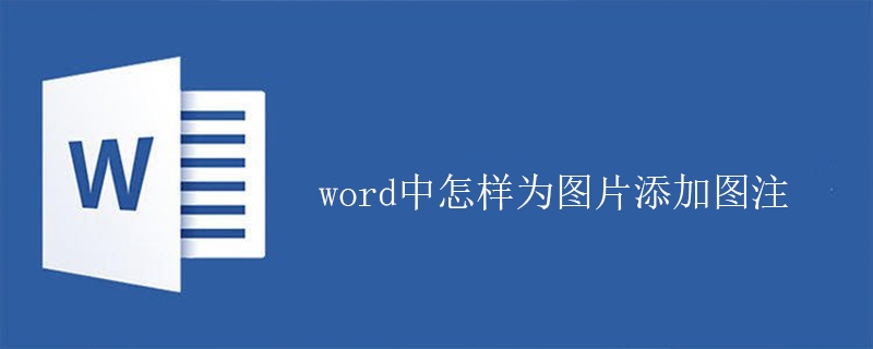 word中怎样为图片添加图注(图1)