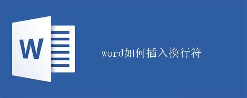 word如何插入换行符(图1)