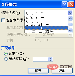 word设置罗马数字页码的方法(图4)