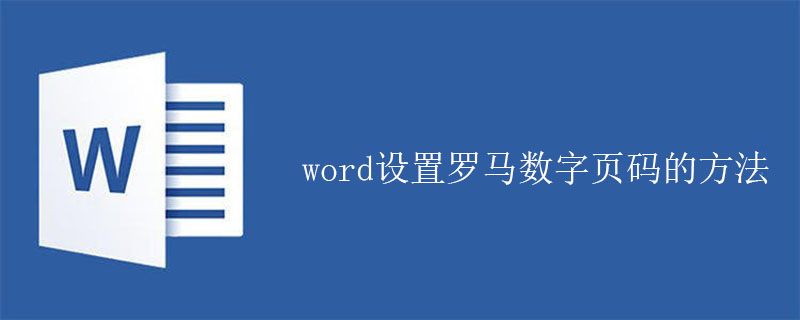 word设置罗马数字页码的方法(图1)