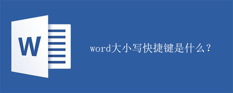 word大小写快捷键是什么？(图1)