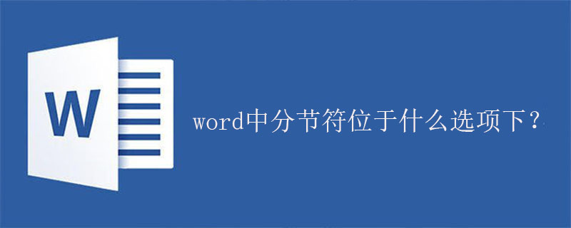 word中分节符位于什么选项下？(图1)