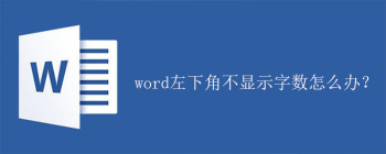 word左下角不显示字数怎么办？ - 壹观办公网