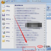 如何删除word最近的其中一条记录？(图3)