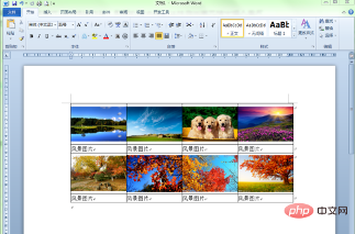 word多张图片排版的技巧是什么？(图8)