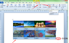 word多张图片排版的技巧是什么？(图10)