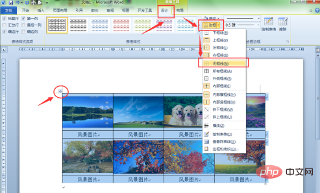 word多张图片排版的技巧是什么？(图12)