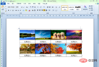 word多张图片排版的技巧是什么？(图11)