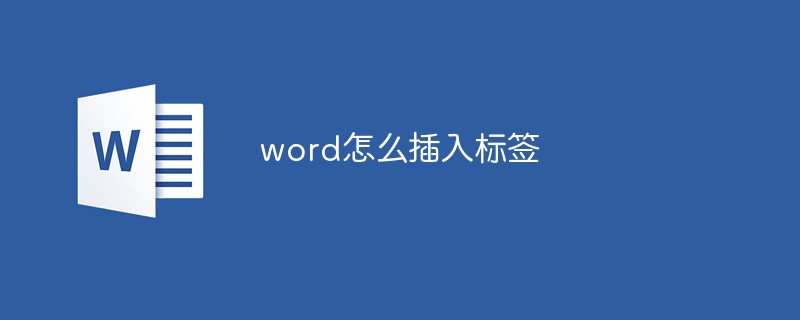 word怎么插入标签(图1)