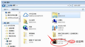 word文档插照片看不见是什么情况(图3)