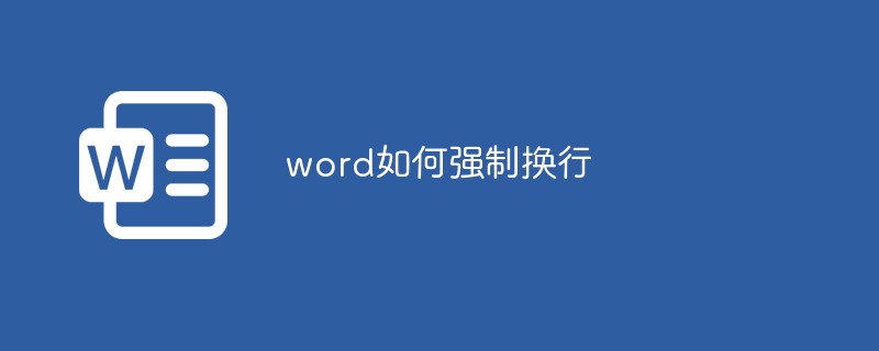 word如何强制换行(图1)